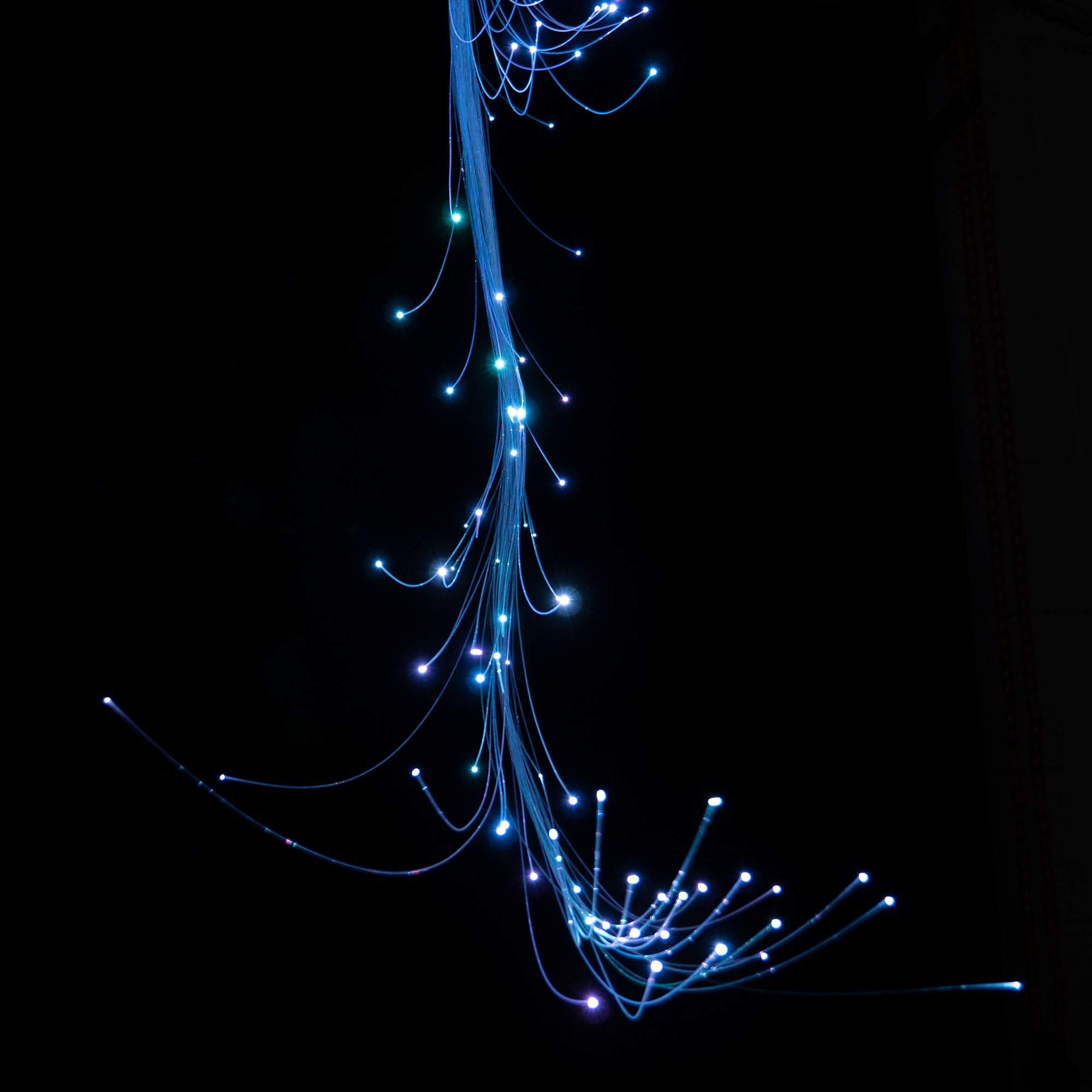 Fibers with blue glow